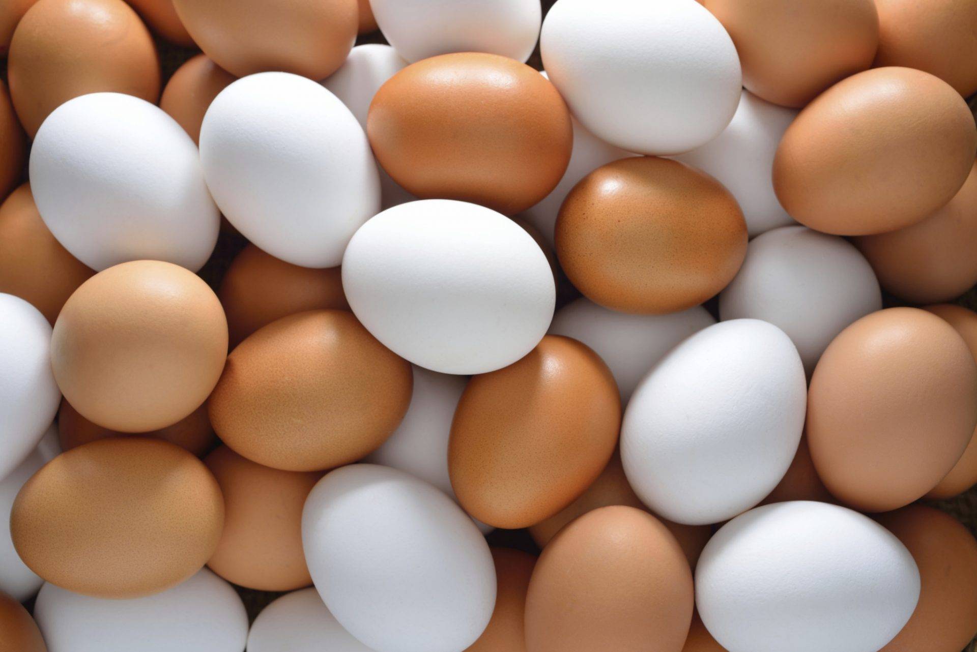 Cách lựa chọn trứng gà tươi sạch 